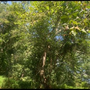 Meet your Posher, Virginia